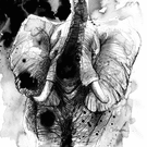&Eacute;l&eacute;phant majestueux en esquisse artistique